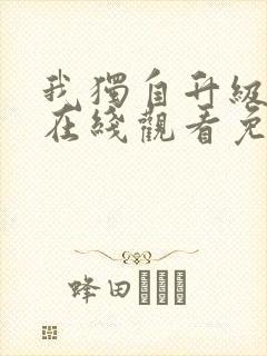 我独自升级漫画在线观看免费封面