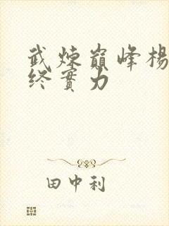 武炼巅峰杨开最终实力