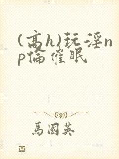 (高h)玩淫np伦催眠