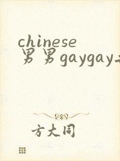 chinese男男gaygay无套网站