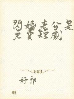 闪婚老公是总裁免费短剧封面