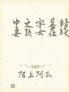 中文字幕精品人妻熟女在线