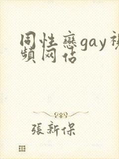 同性恋gay视频网站
