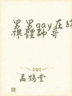 男男gay在线裸体帅哥封面