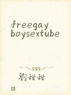 freegayboysextube