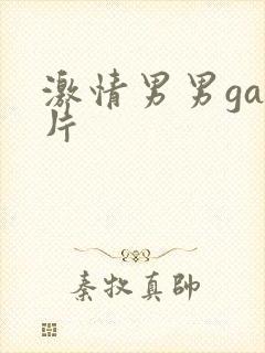 激情男男gay片