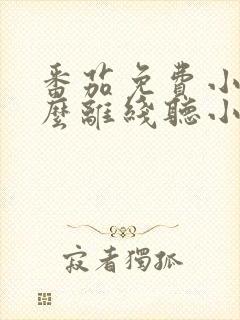 番茄免费小说怎么离线听小说