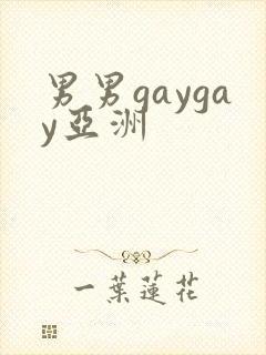 男男gaygay亚洲