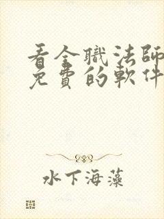 看全职法师小说免费的软件