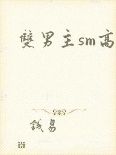 双男主sm高h封面