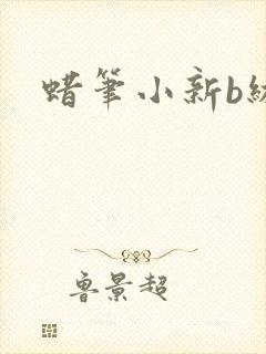 蜡笔小新b级
