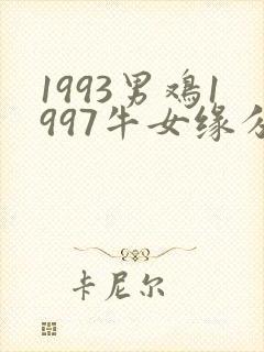 1993男鸡1997牛女缘分