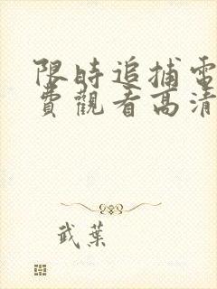 限时追捕电影免费观看高清
