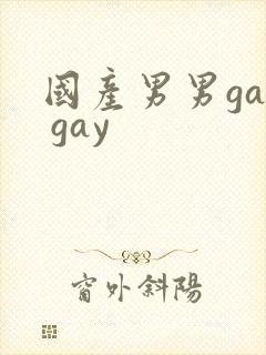 国产男男gay gay封面