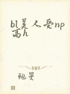 bl美人受np高h