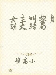 女主叫黎月的小说大结局封面