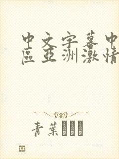 中文字幕中文一区亚洲激情