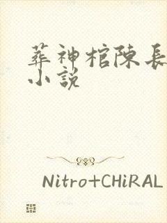 葬神棺陈长安的小说