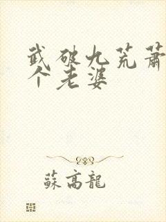 武破九荒萧叶几个老婆封面