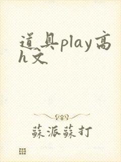 道具play高h文