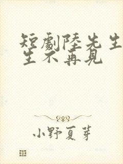 短剧陆先生,余生不再见