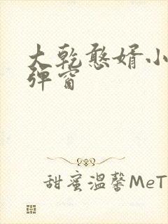 大乾憨婿小说无弹窗