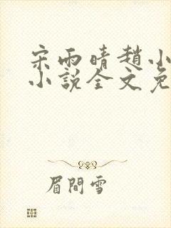 宋雨晴赵小刚的小说全文免费阅读