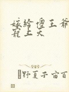 嫁给傻王爷后被宠上天