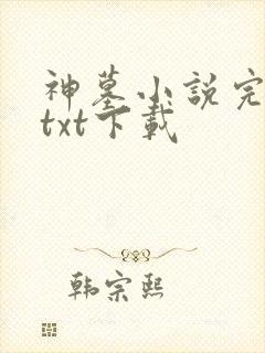 神墓小说完结版txt下载