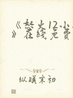 《怒火12小时》在线免费观看