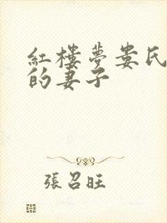 红楼梦娄氏是谁的妻子