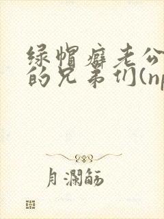 绿帽癖老公和他的兄弟们(np封面