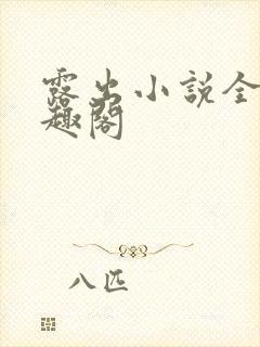 露出小说全文笔趣阁