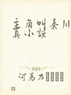 主角叫秦川的修真小说封面