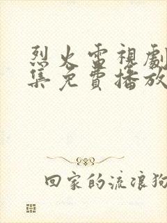 烈火电视剧40集免费播放