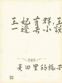 王妃有群,王爷一边去小说版