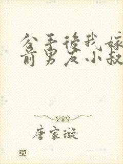 分手后我嫁给了前男友小叔