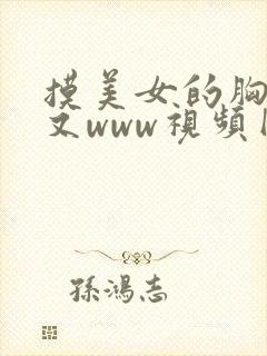 摸美女的胸又大又www视频网站