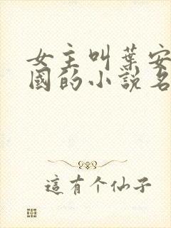女主叫叶安叶卫国的小说名字