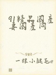 91精品国产人妻国产网