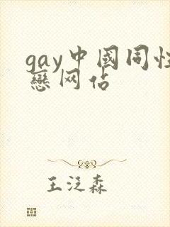 gay中国同性恋网站