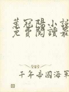 叶冠阳小说全文免费阅读最新章节
