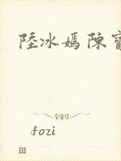 陆冰嫣 陈宝柱封面