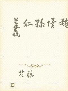 美红孙倩赵敏高义