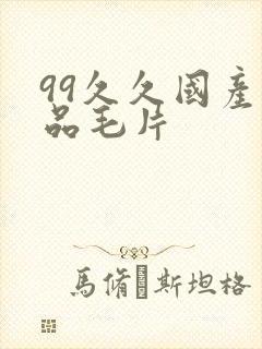 99久久国产精品毛片封面