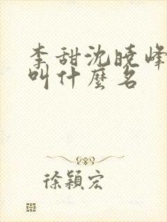李甜沈晓峰小说叫什么名