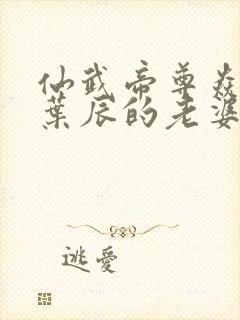 仙武帝尊焱妃是叶辰的老婆吗