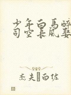 少年白马醉春风司空长风娶了谁