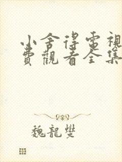 小舍得电视剧免费观看全集完整版高清封面