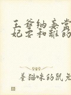 王爷纳妾当天王妃要和离的小说